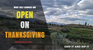 Tee Off on Thanksgiving: Golf Courses Open for Holiday Play