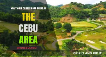 Discover Cebu's Best Golf Courses: A Guide to Top Greens