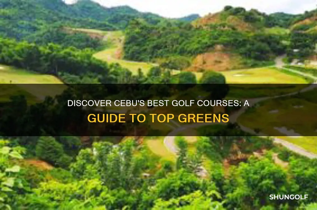 what golf courses are there in the cebu area