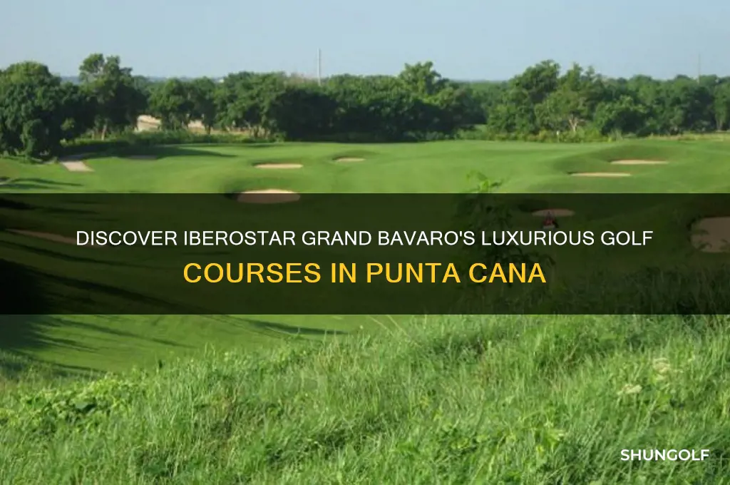 what golf courses at iberostar grand bavaro