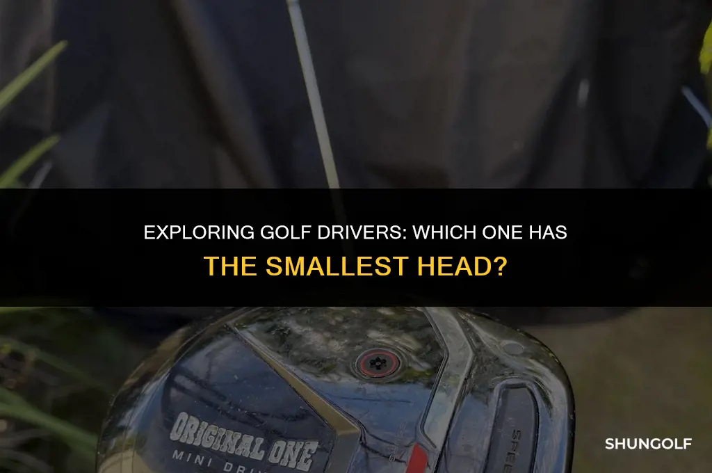what golf driver has the smallest head