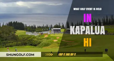 Kapalua's Premier Golf Event: The Sentry Tournament of Champions