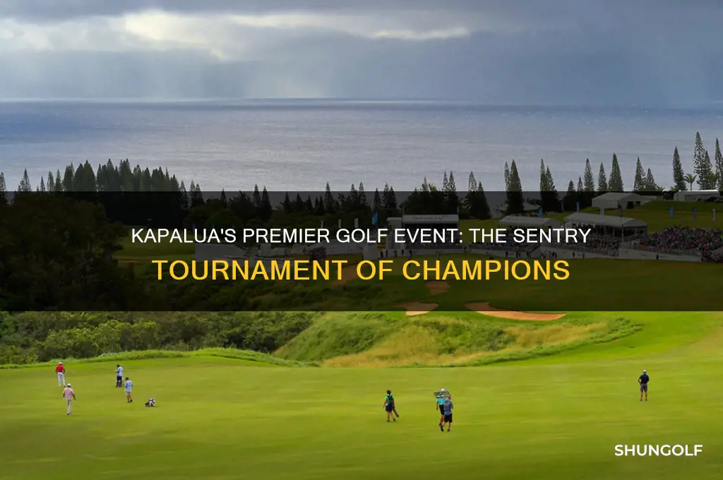 what golf event is held in kapalua hi