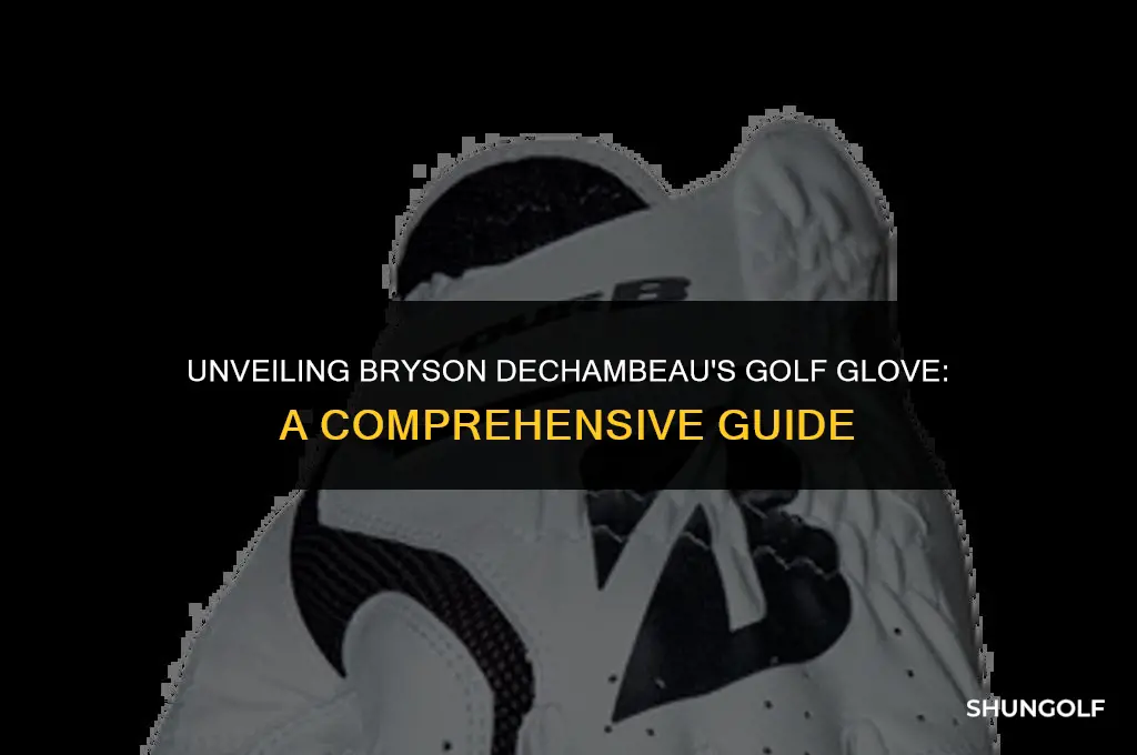 what golf glove does bryson dechambeau use