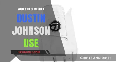 Unveiling Dustin Johnson's Golf Glove: A Comprehensive Guide
