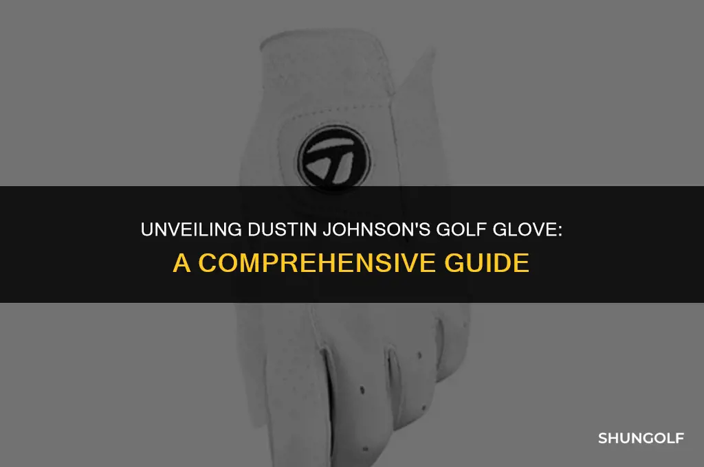 what golf glove does dustin johnson use