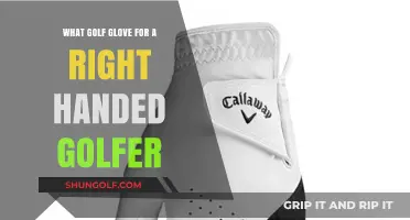 Best Golf Gloves for Right-Handed Players: Comfort, Grip, and Fit Guide