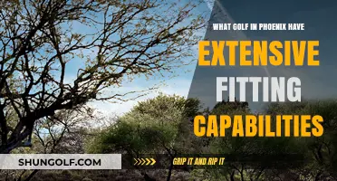 Phoenix Golf Clubs: Top Fitting Services for Precision and Performance
