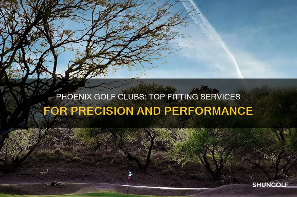 what golf in phoenix have extensive fitting capabilities