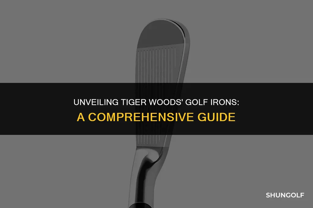 what golf irons does tiger use
