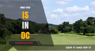 Exploring DC's Golf Scene: Courses, Culture, and Community Highlights