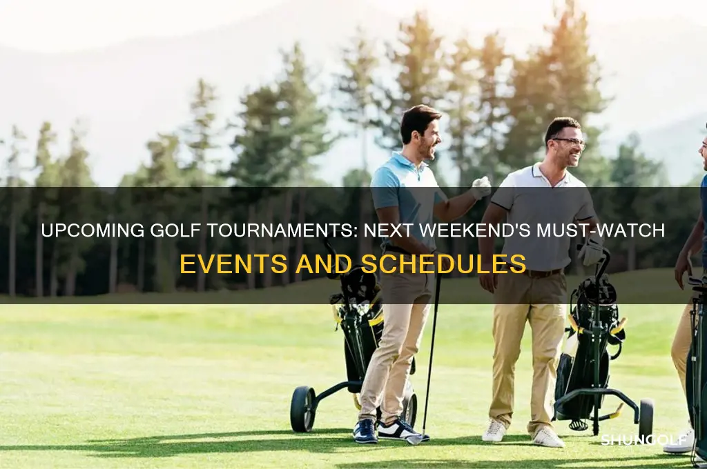what golf is on next weekend