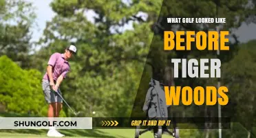 Golf's Evolution: A Look at the Pre-Tiger Woods Era