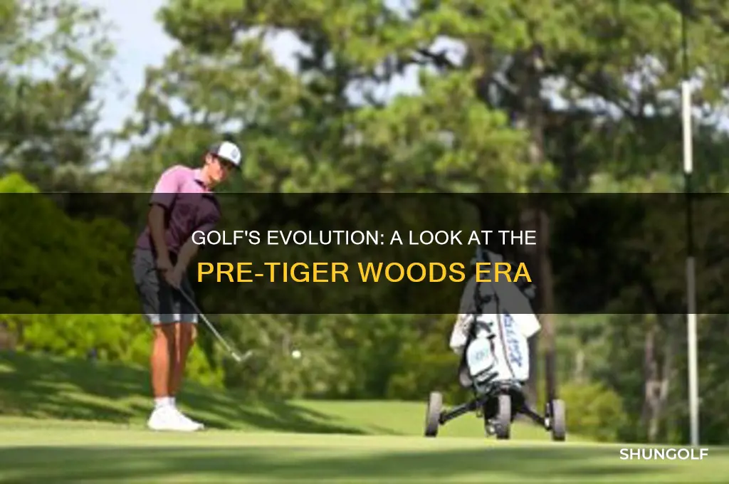 what golf looked like before tiger woods