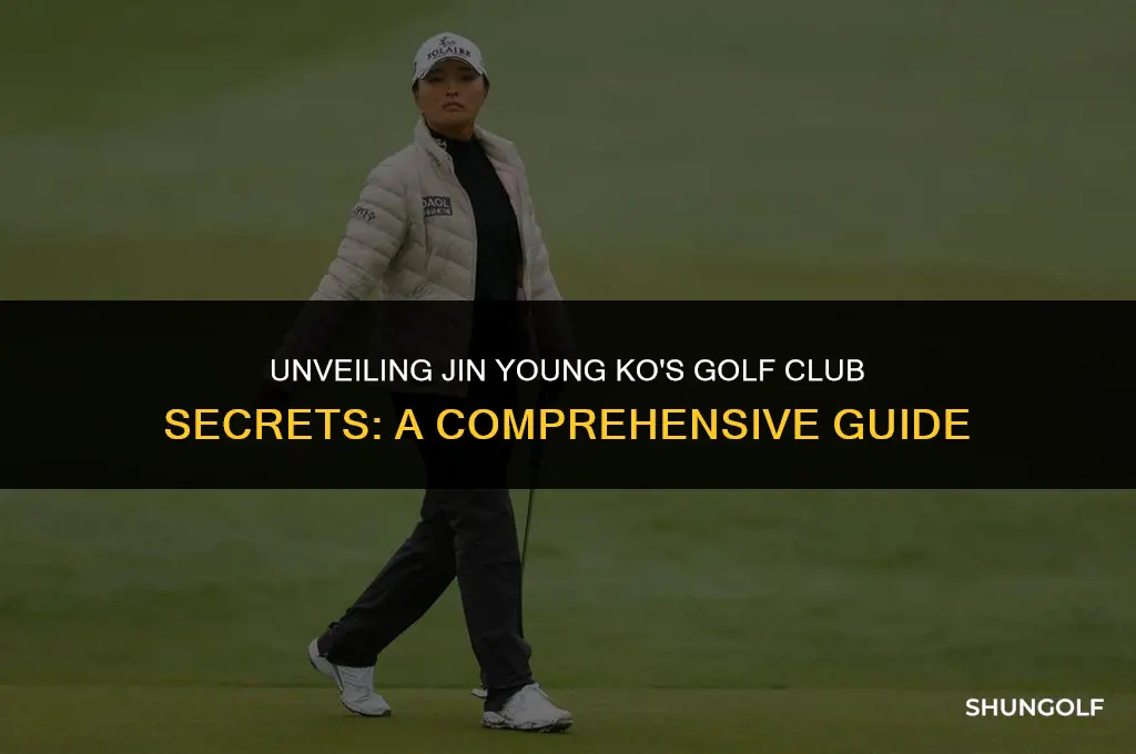 what golf lubs is jin young ko using