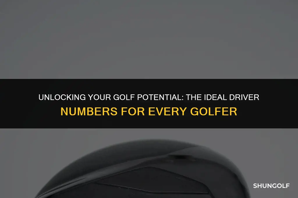 what golf numbers do you want with driver