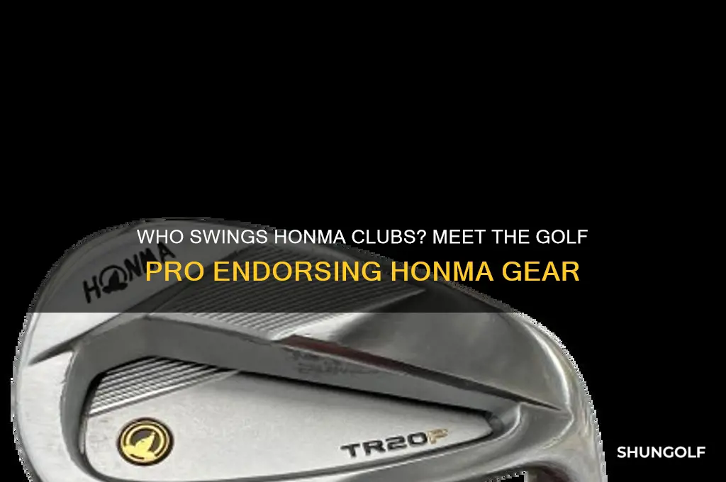 what golf pro plays with homna clubs