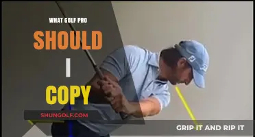 Choosing the Right Golf Pro to Emulate for Your Game Improvement
