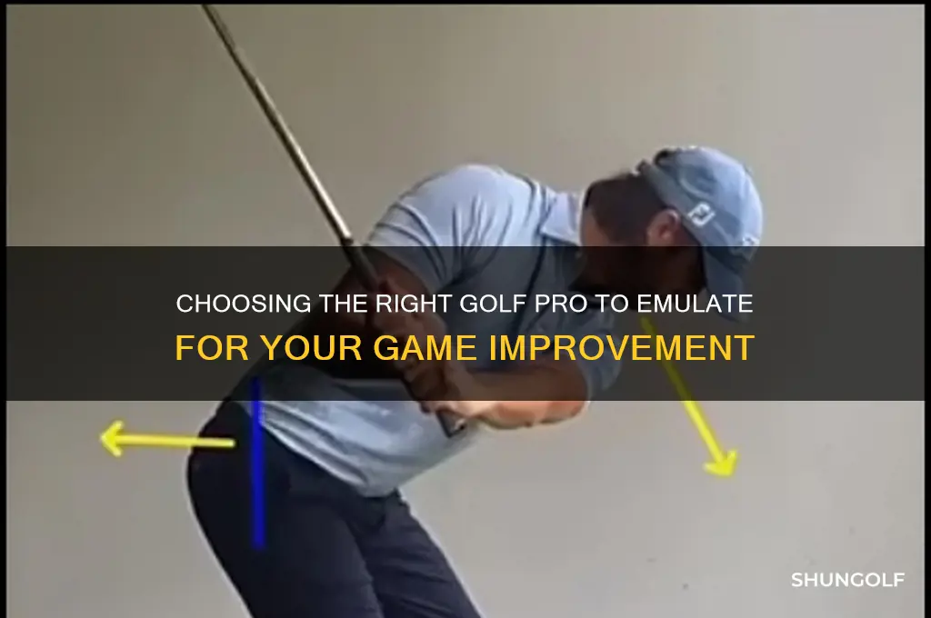 what golf pro should i copy