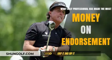 Top Golf Pro: Who Earns the Most from Endorsements?