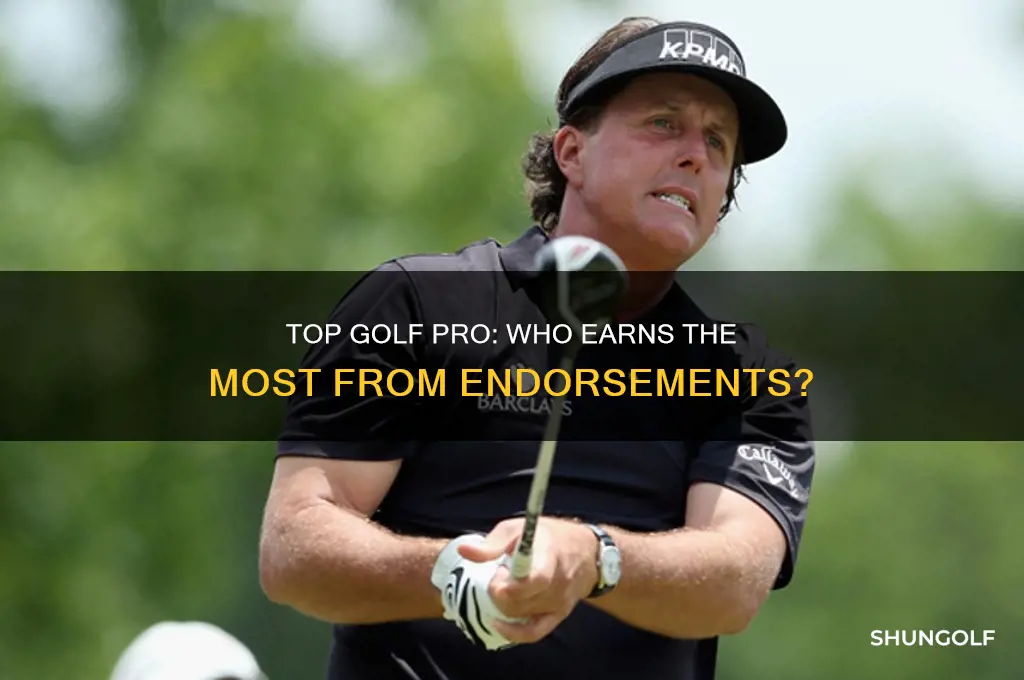 what golf professional has made the most money on endorsements