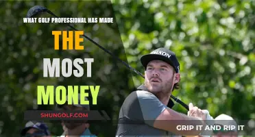 Top Golf Pro Earnings: Who's the Wealthiest Player Ever?