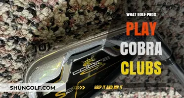 Top Golf Pros Swinging Cobra Clubs: Who's in the Bag?