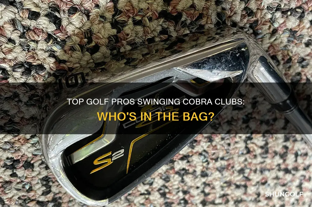 what golf pros play cobra clubs