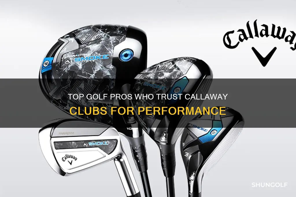 what golf pros use callaway clubs