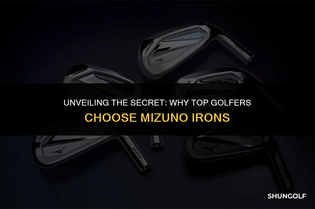 what golf pros use mizuno irons