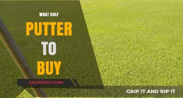 Choosing the Perfect Golf Putter: A Buyer's Guide to Top Picks