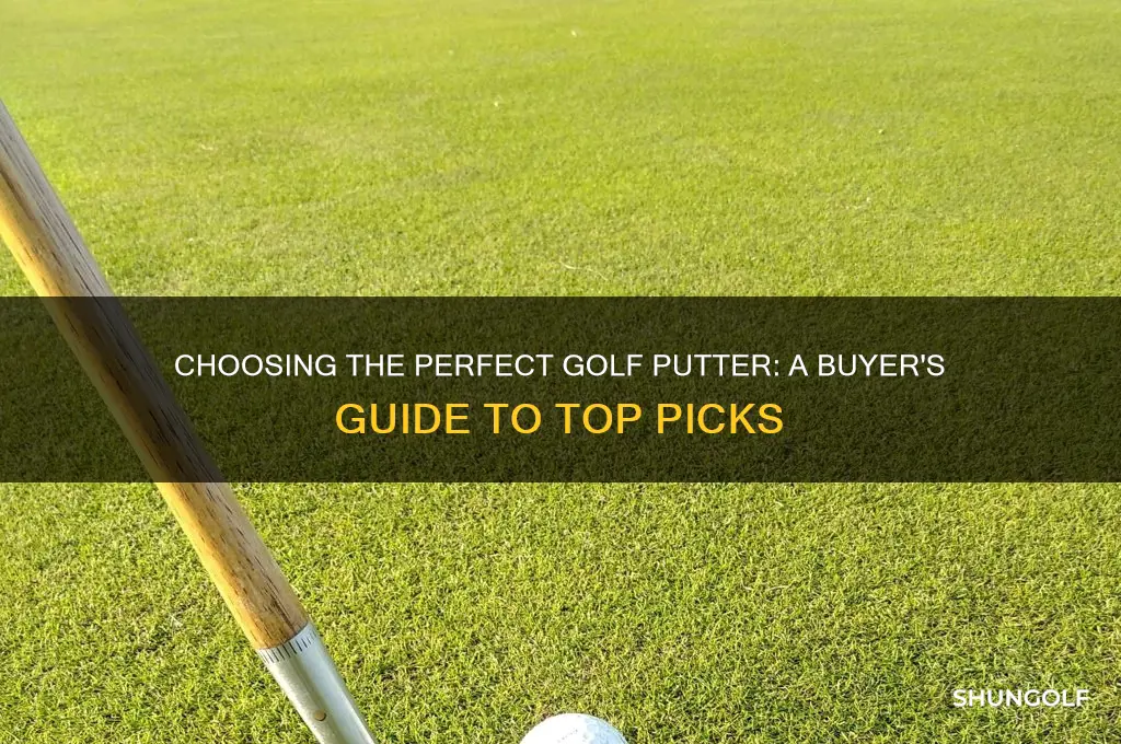 what golf putter to buy