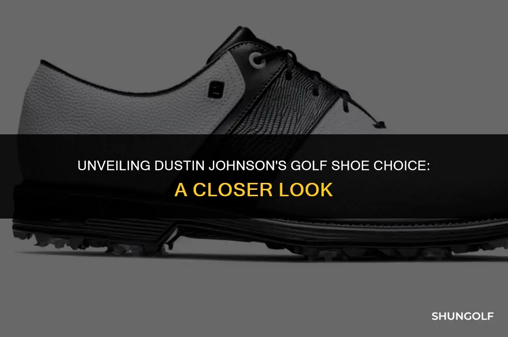 what golf shoe does dustin johnson wear