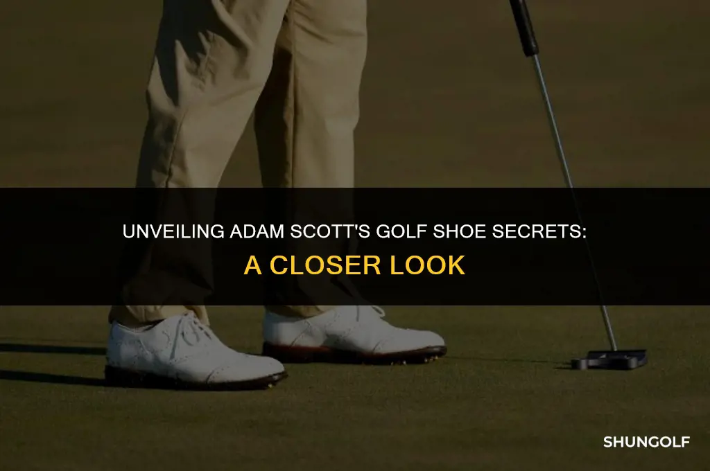 what golf shoes does adam scott wear