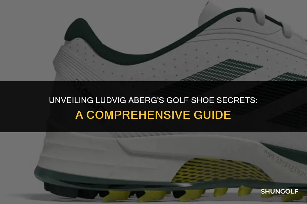 what golf shoes does ludvig aberg wear
