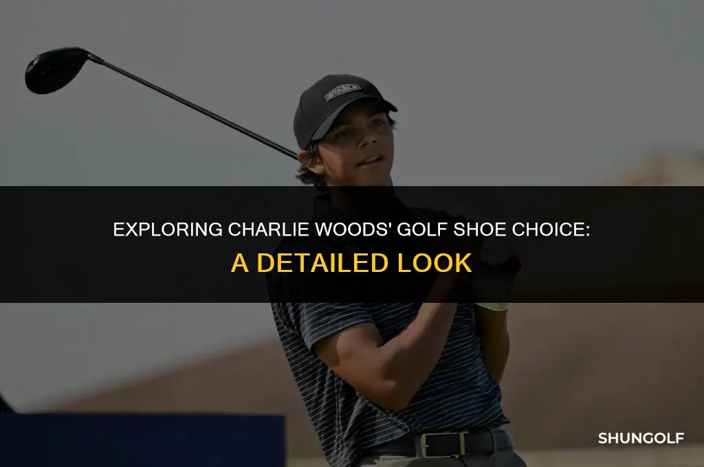 what golf shoes is charlie woods wearing