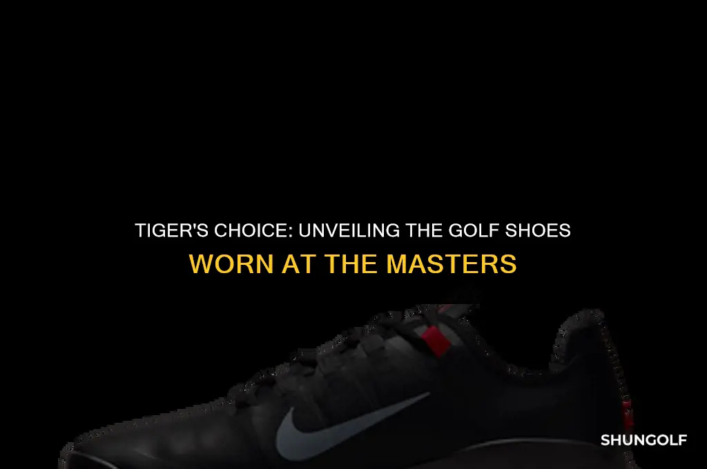 what golf shoes is tiger wearing at the masters
