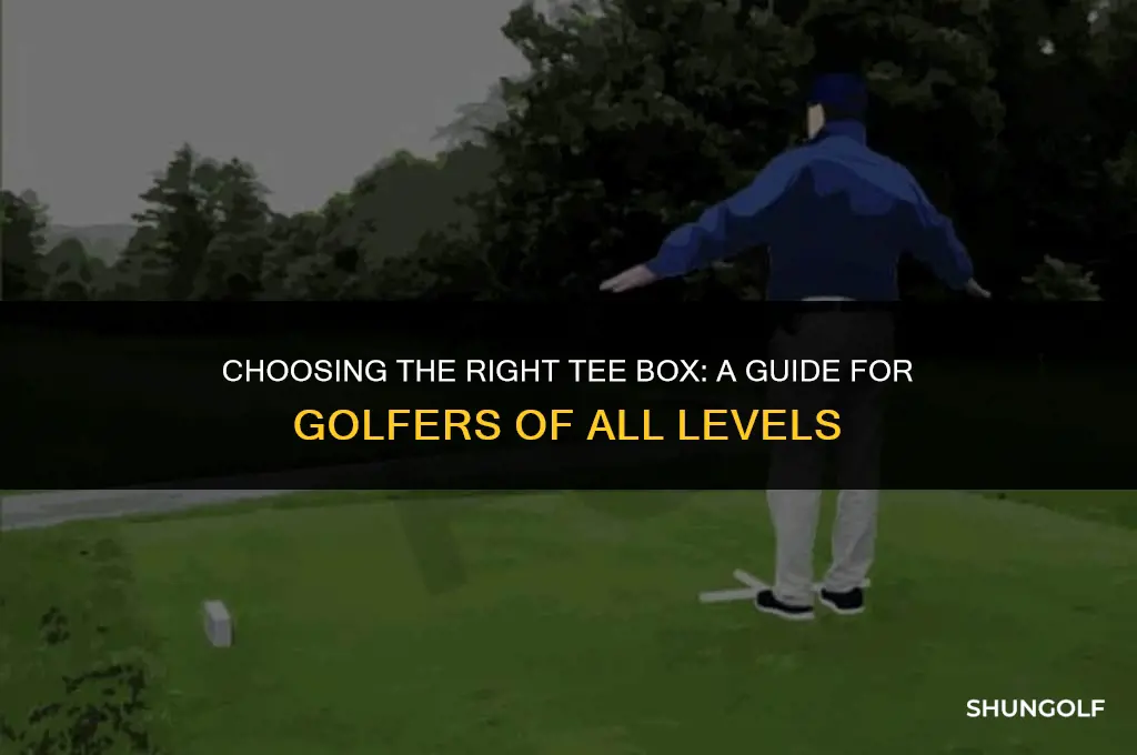 what golf tee box should i use