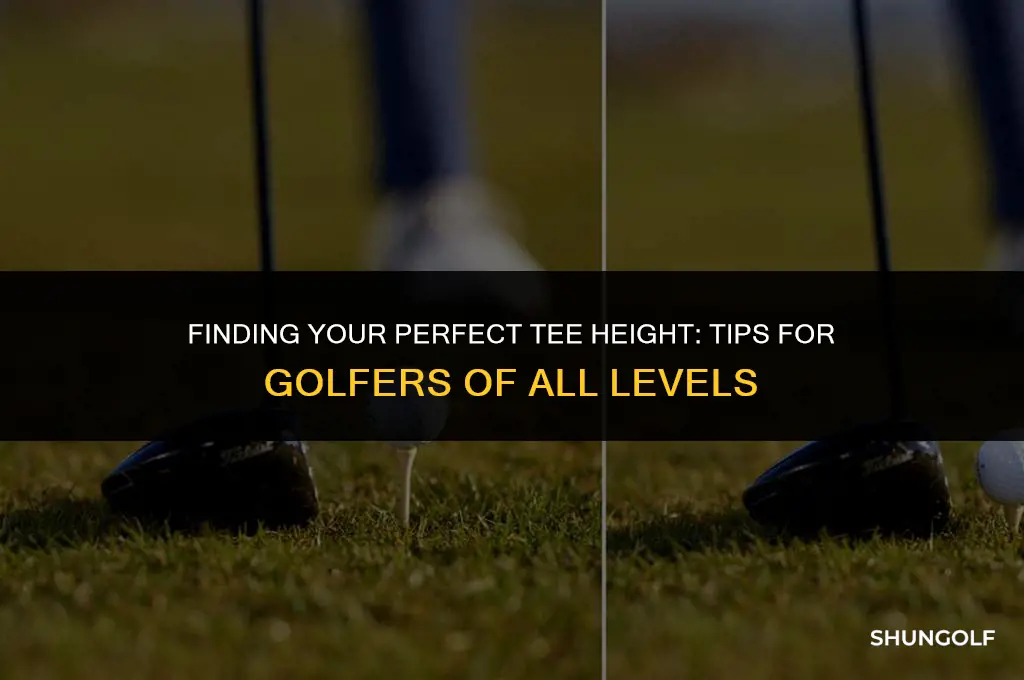 what golf tee height should i use