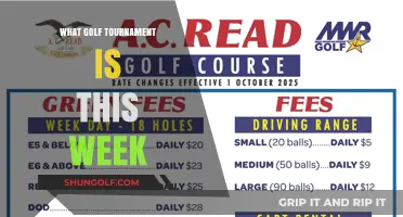 Teeing Off This Week: A Guide to the Latest Golf Tournaments