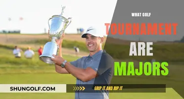 Exploring Golf's Elite Competitions: A Guide to the Major Tournaments