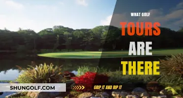 Exploring the World of Golf: A Guide to Major Tours