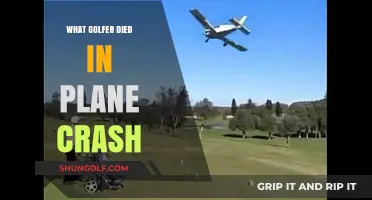 Tragic Skies: Remembering the Golfer Lost in a Plane Crash