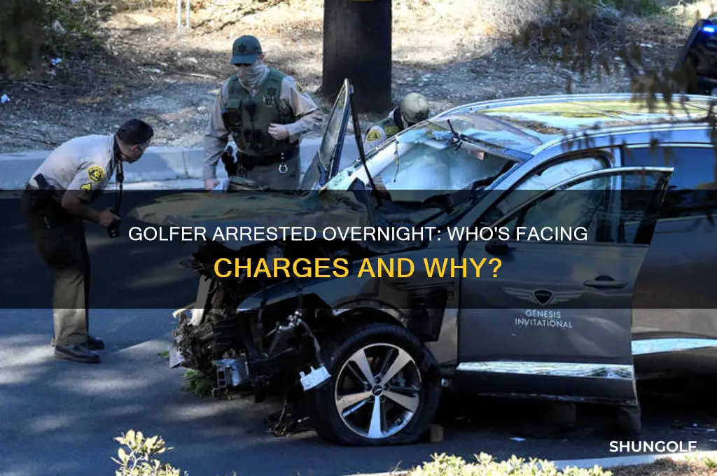 what golfer got arrested last night