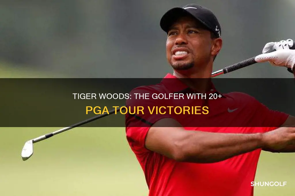 what golfer has 20 pga wins