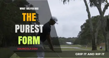 Who Swings with Perfection? Discover Golf's Purest Form Master