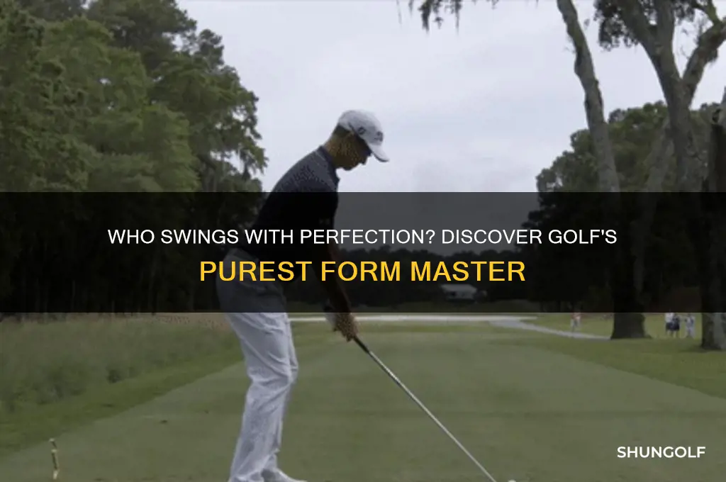 what golfer has the purest form
