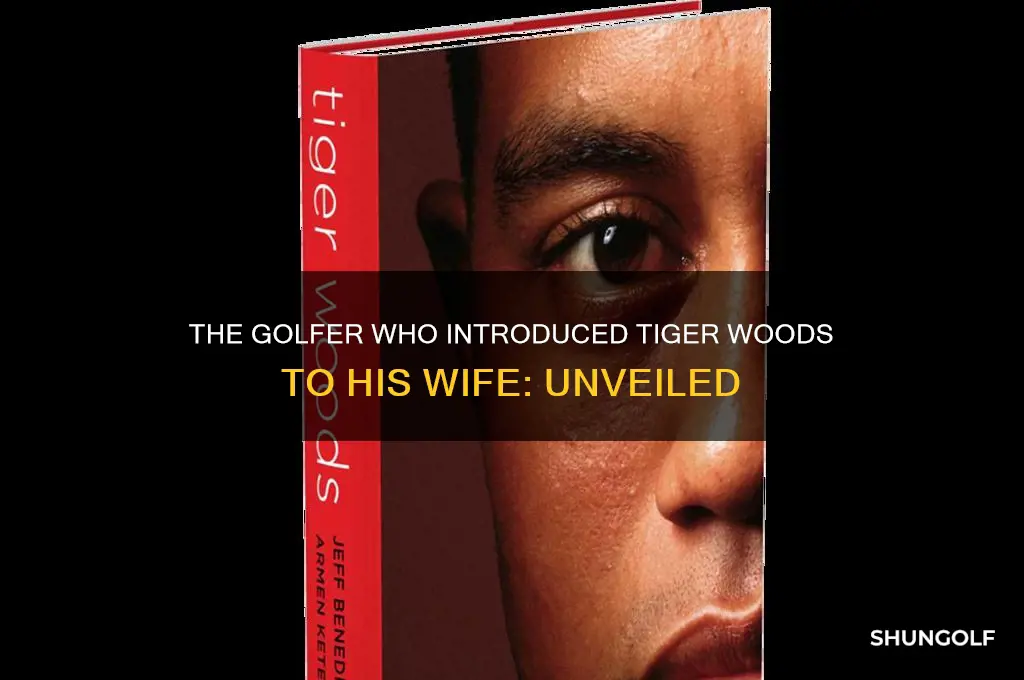 what golfer introduced tiger his wife