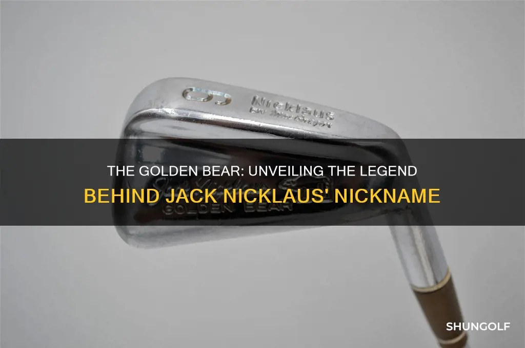 what golfer is nicknamed the golden bear