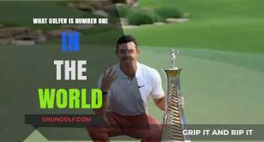 Who Holds the Top Spot in Golf's World Rankings?